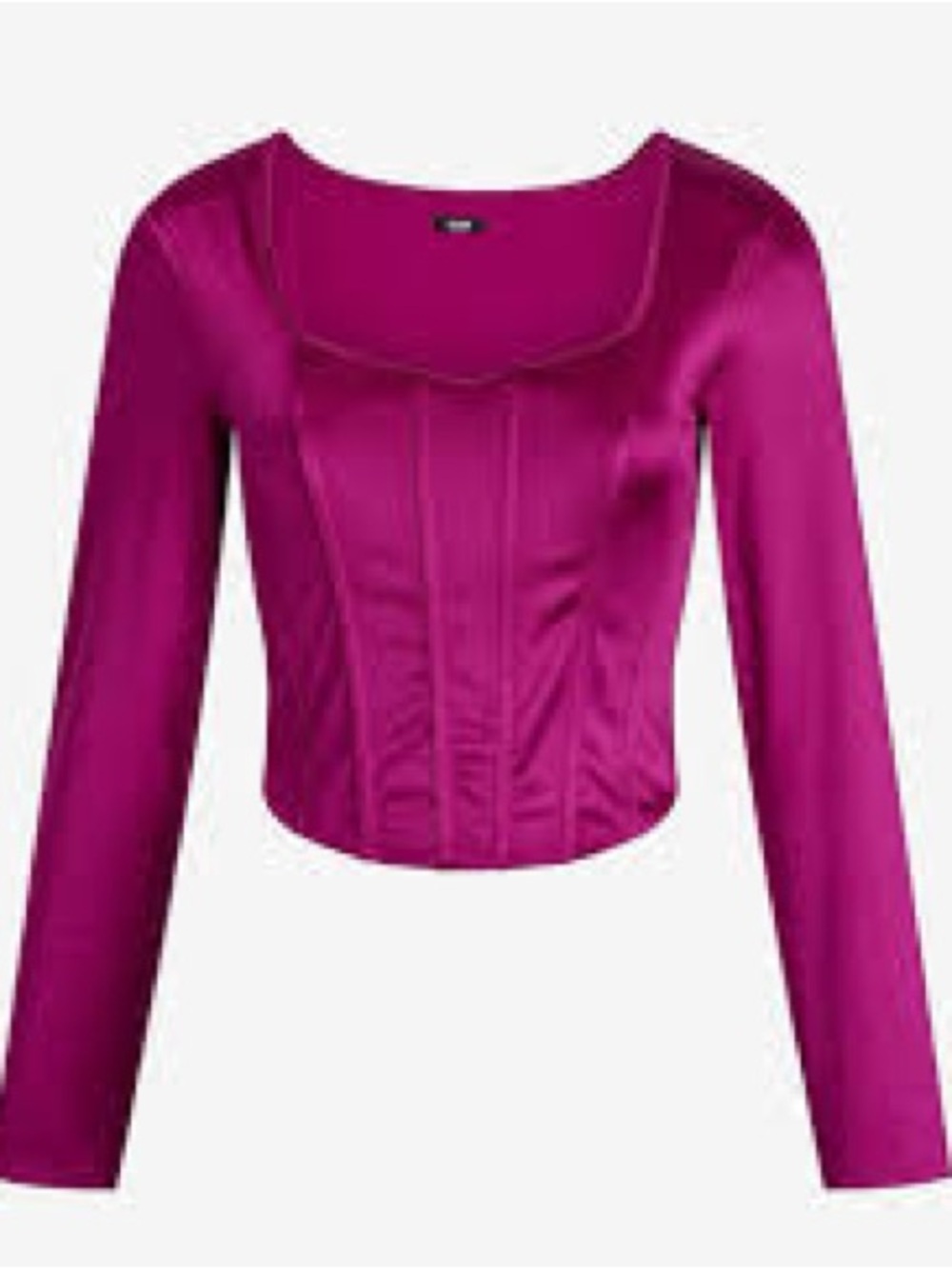 NWT- EXPRESS Body Contour Satin Long Sleeve Corset top